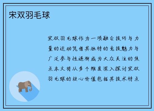 宋双羽毛球